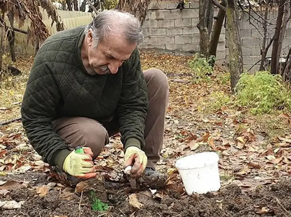مهران رجبی