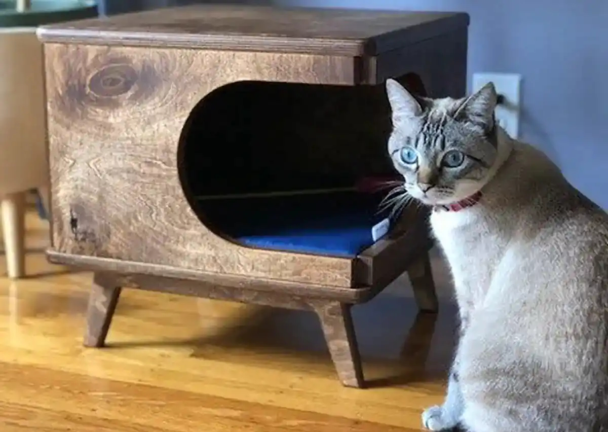 باکس چوبی حیوانات وحشی
قفس خرگوش بباکس چوبی حیواناتزرگ
اسباب بازی خرگوش
باکس چوبی حیوانات اهلی
باکس چوبی حیوانات
