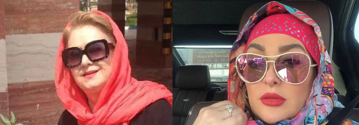 چهره ها/ این زن زیبا مادر «الهام حمیدی» است