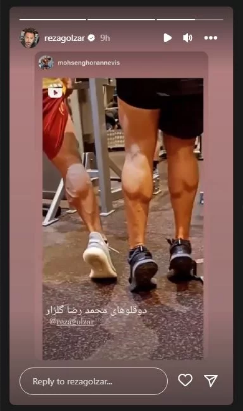 محمدرضا گلزار