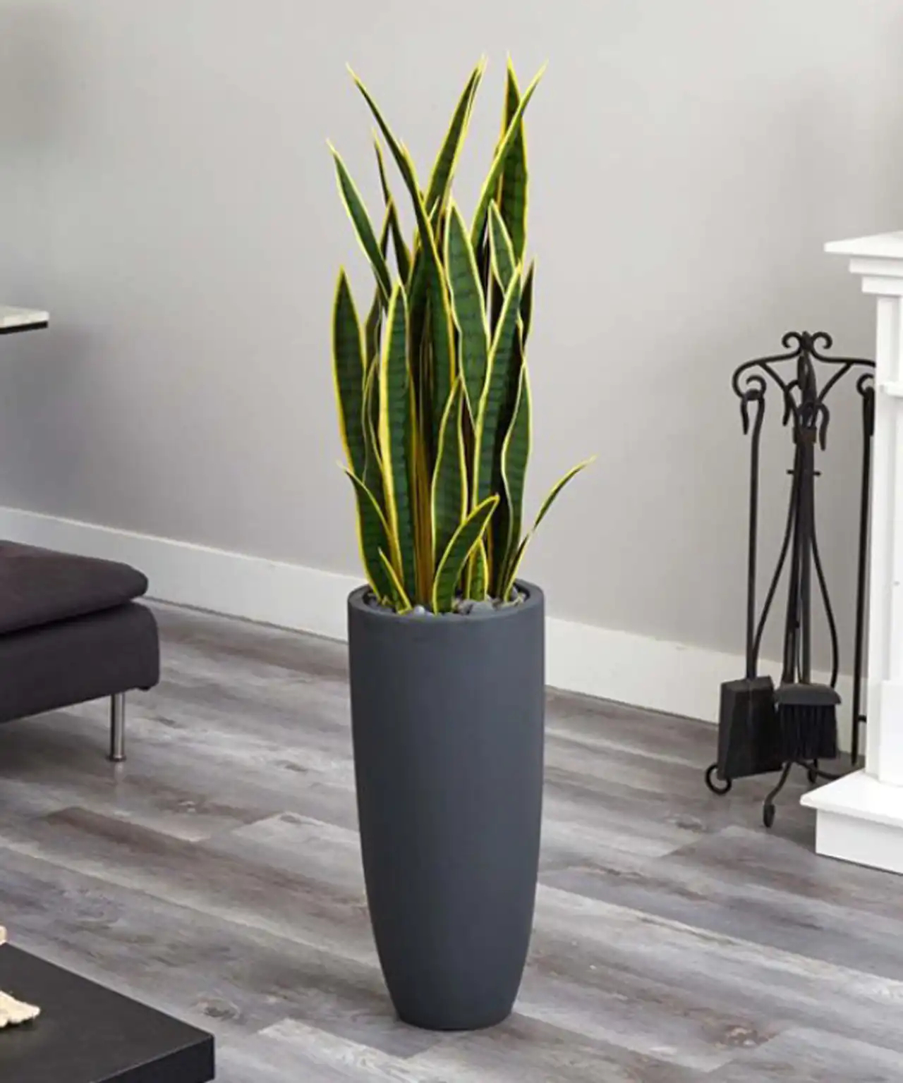 مدل گلدان برای گل سانسوریا + زیباترین مدل های گلدان ترند امسال برای گل سانسوریا