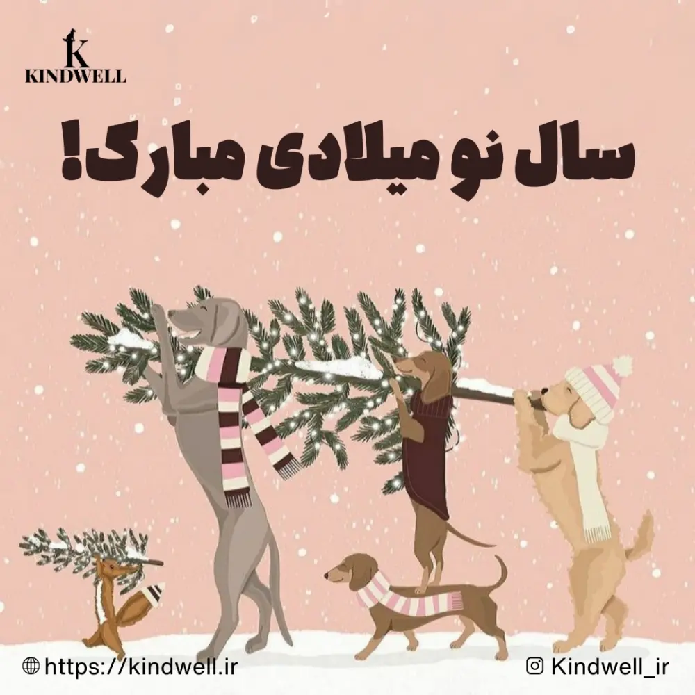 تبریک سال نو میلادی ۲۰۲۶ | ۳۰ متن رسمی و صمیمی برای پیام، استوری و تبریک خاص به عزیزان!