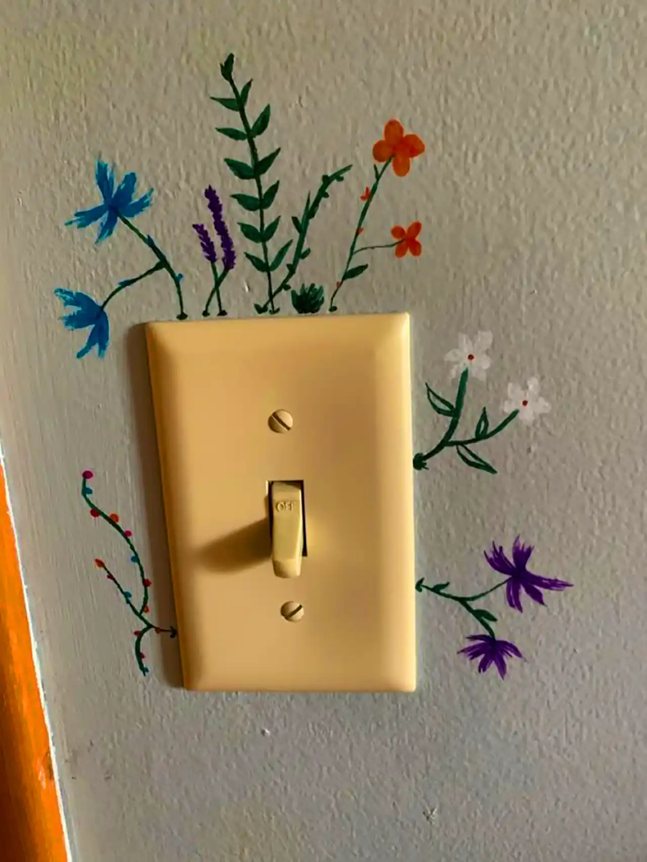 نقاشی روی کلید و پریز