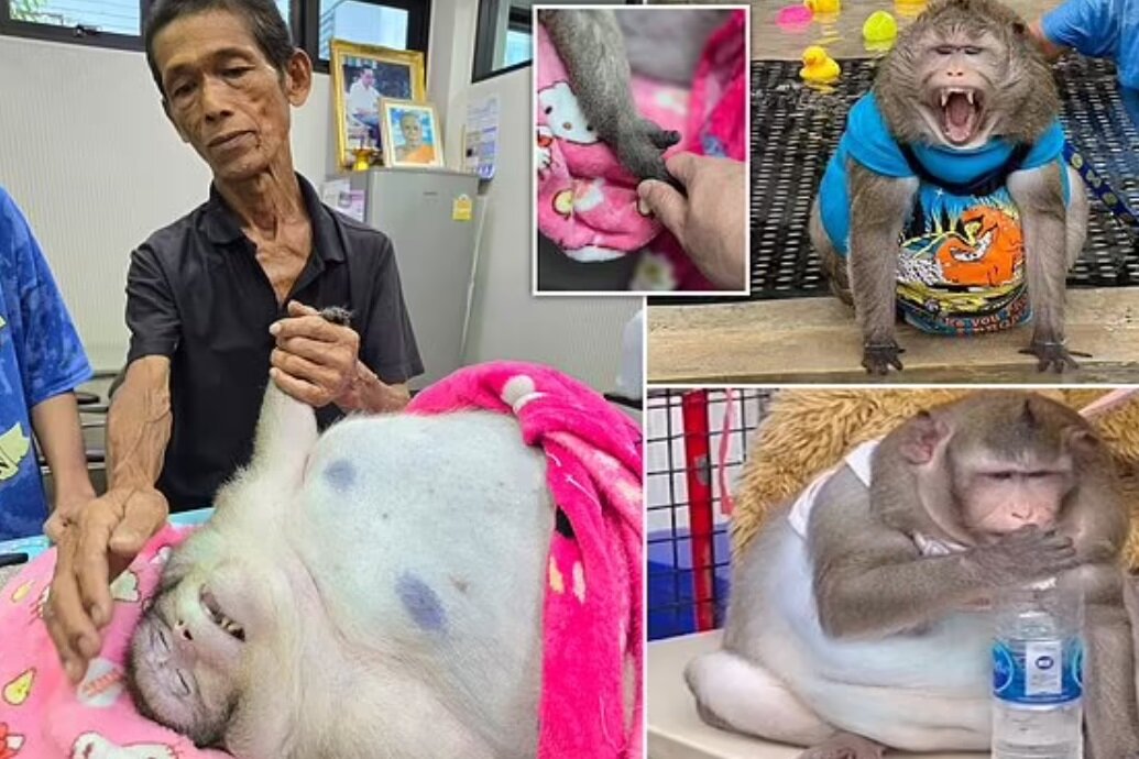 گودزیلای تایلندی بخاطر چاقی مرد + عکس