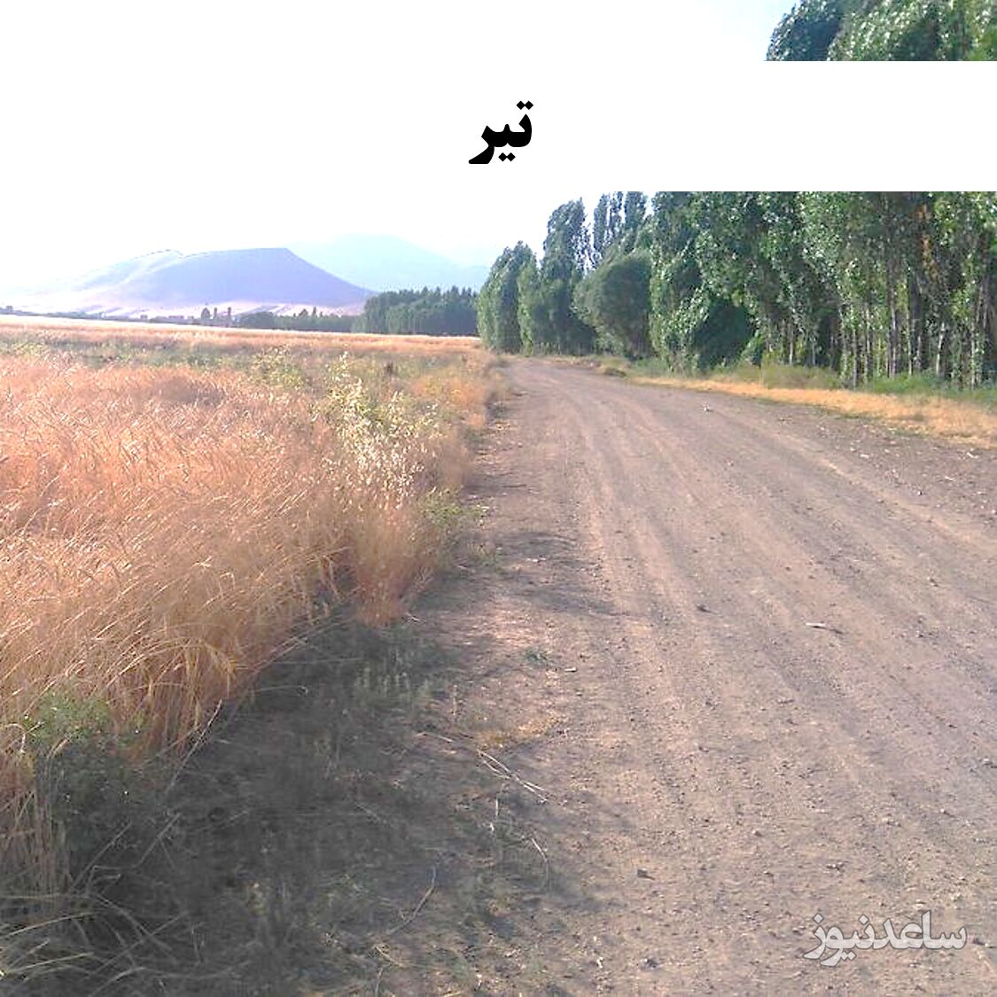 تیر