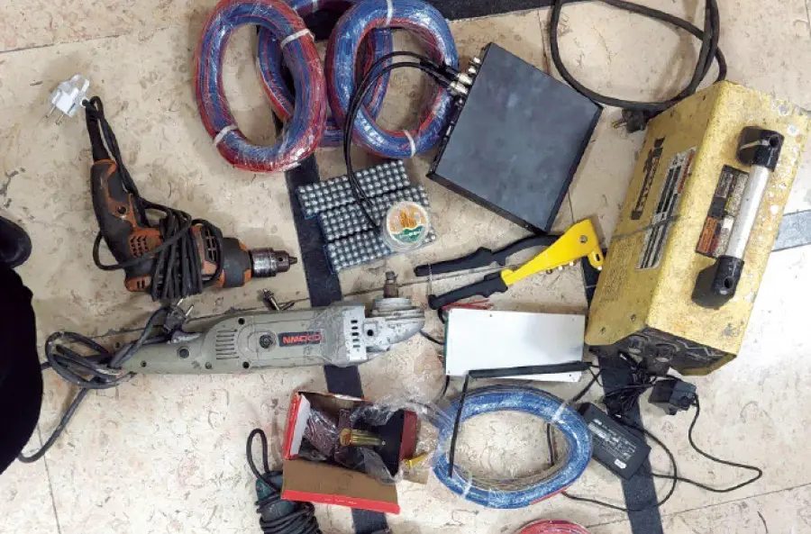 سرقت حرفه ای