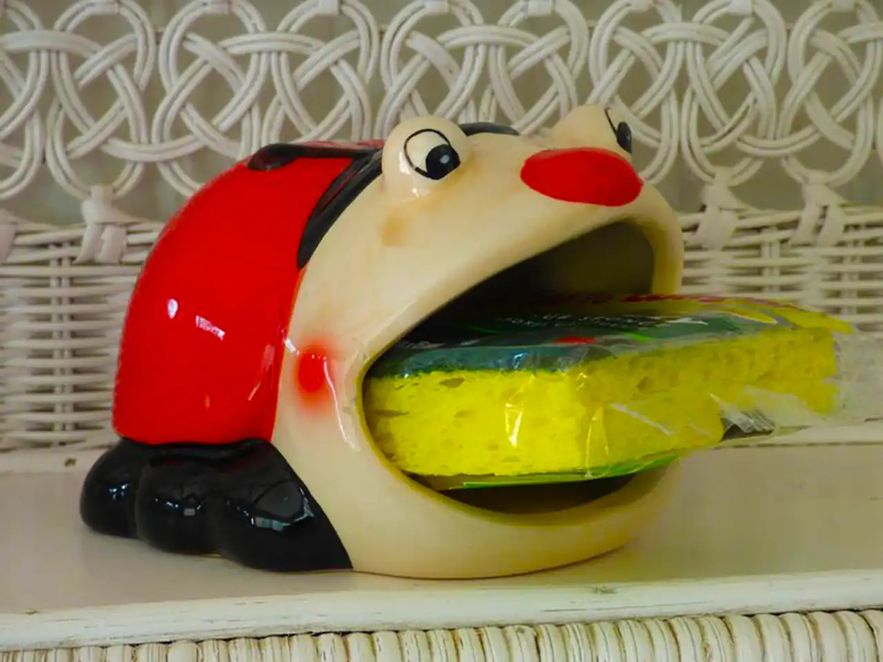 جا اسکاچی فانتزی شیک