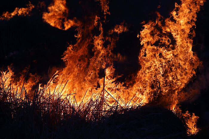 آتش سوزی جنگل نوشهر