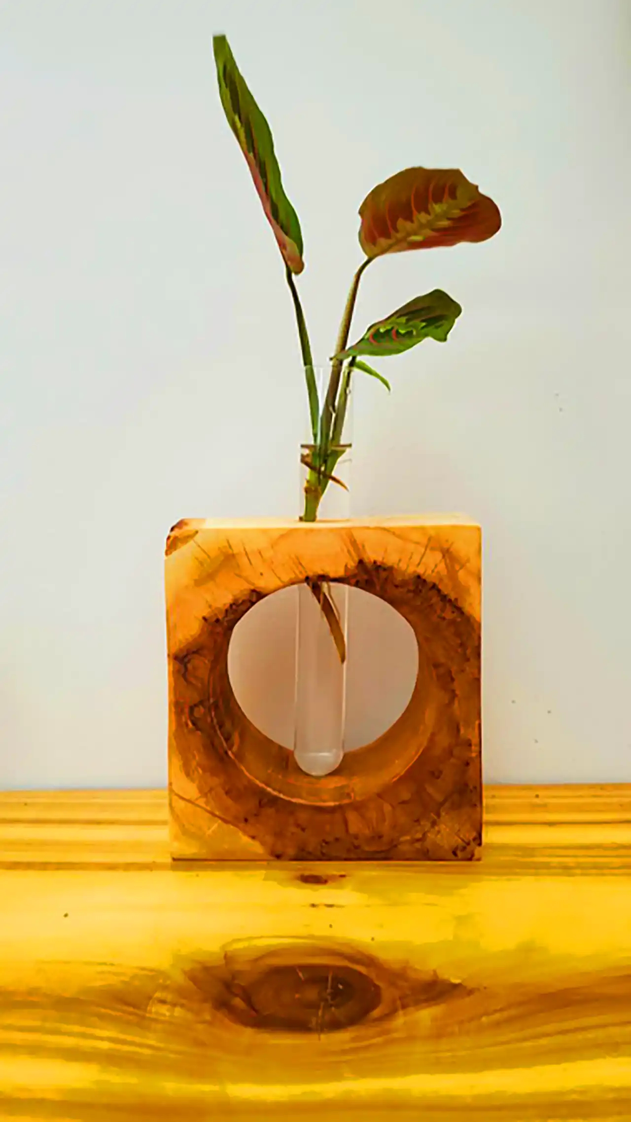 گلدان چوبی دکوری