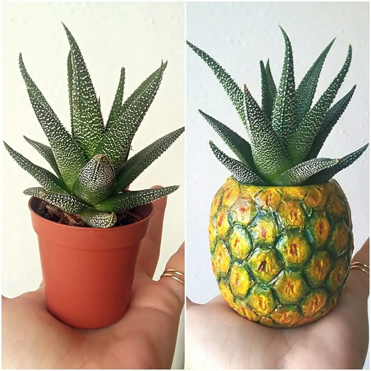 گلدان رومیزی طرح میوه