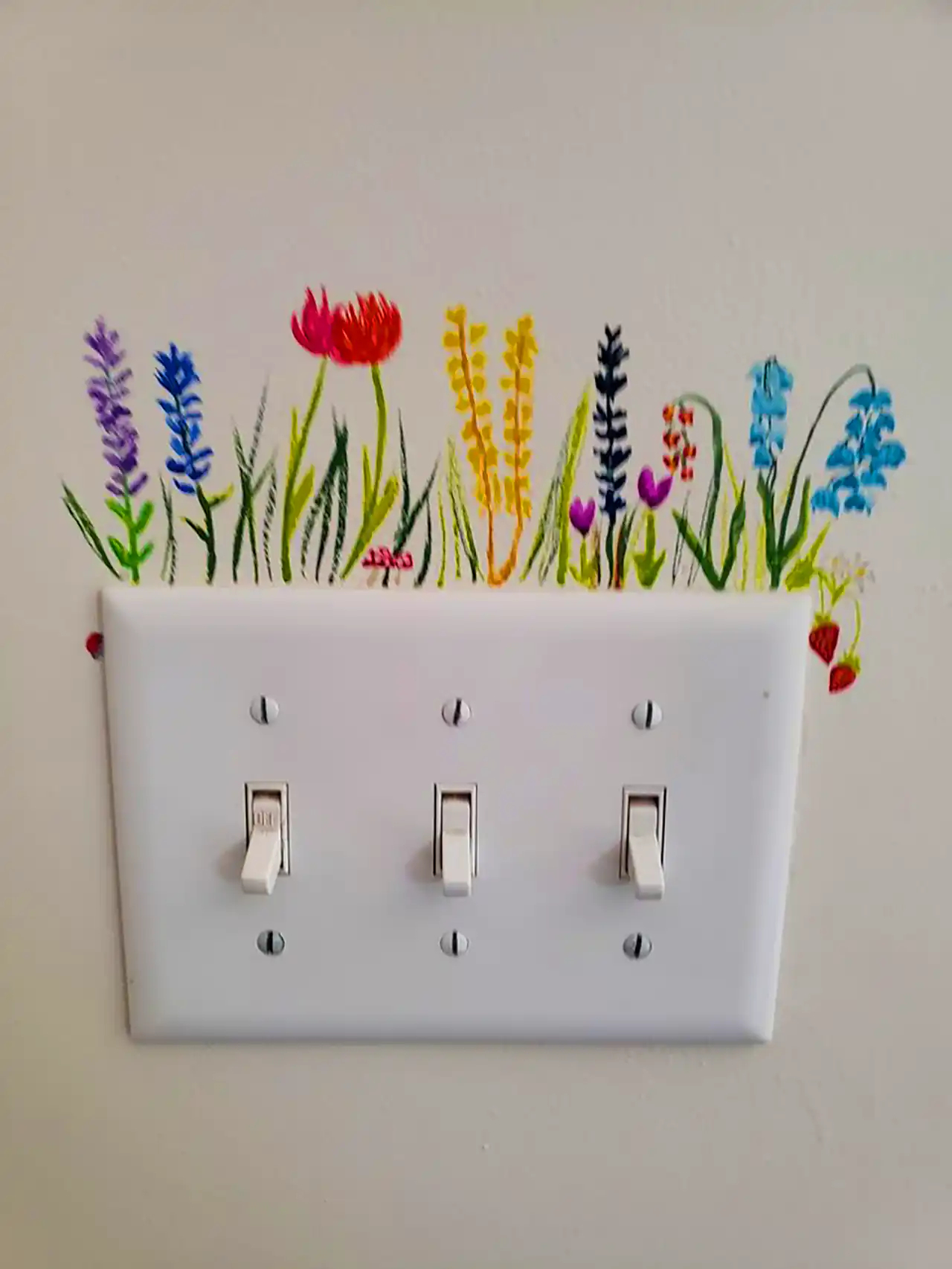 نقاشی روی کلید و پریز