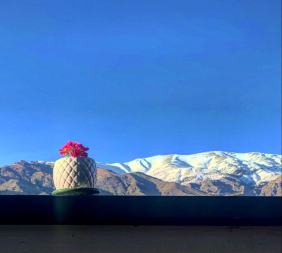 مهراوه شریفی‌نیا