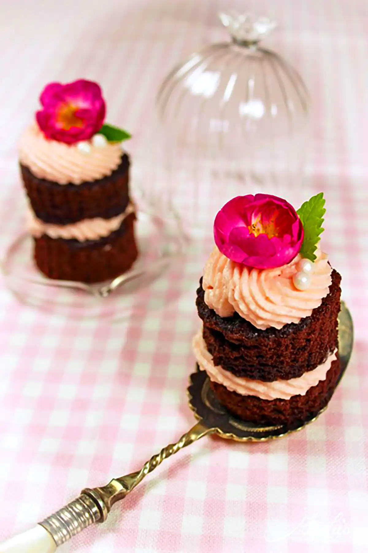 میینی کیک کاکائویی خوش طعم 