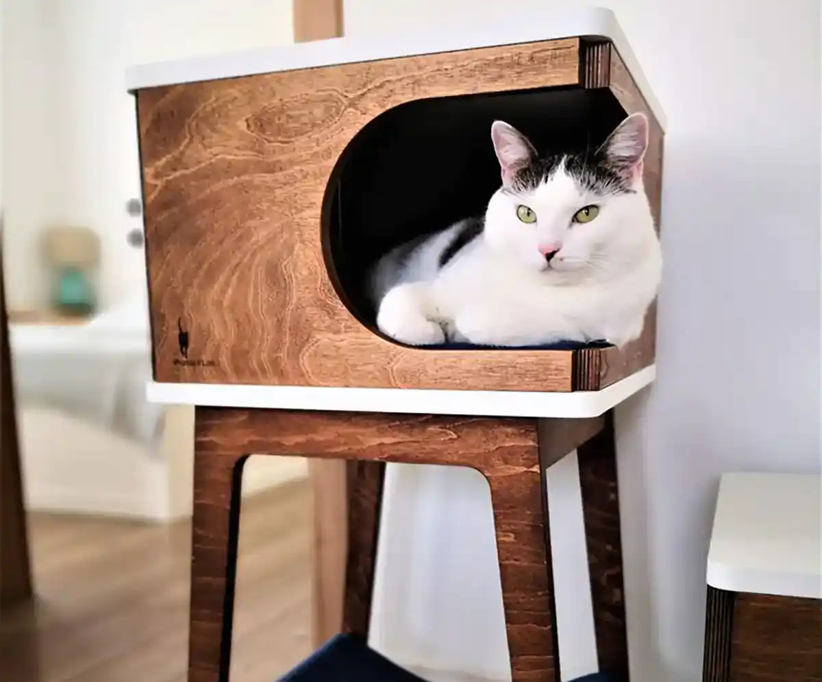 باکس چوبی حیوانات وحشی
قفس خرگوش بباکس چوبی حیواناتزرگ
اسباب بازی خرگوش
باکس چوبی حیوانات اهلی
باکس چوبی حیوانات
