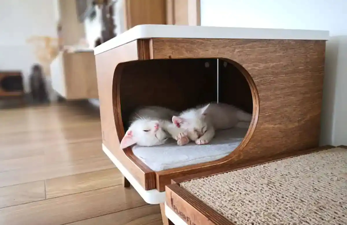 باکس چوبی حیوانات وحشی
قفس خرگوش بباکس چوبی حیواناتزرگ
اسباب بازی خرگوش
باکس چوبی حیوانات اهلی
باکس چوبی حیوانات
