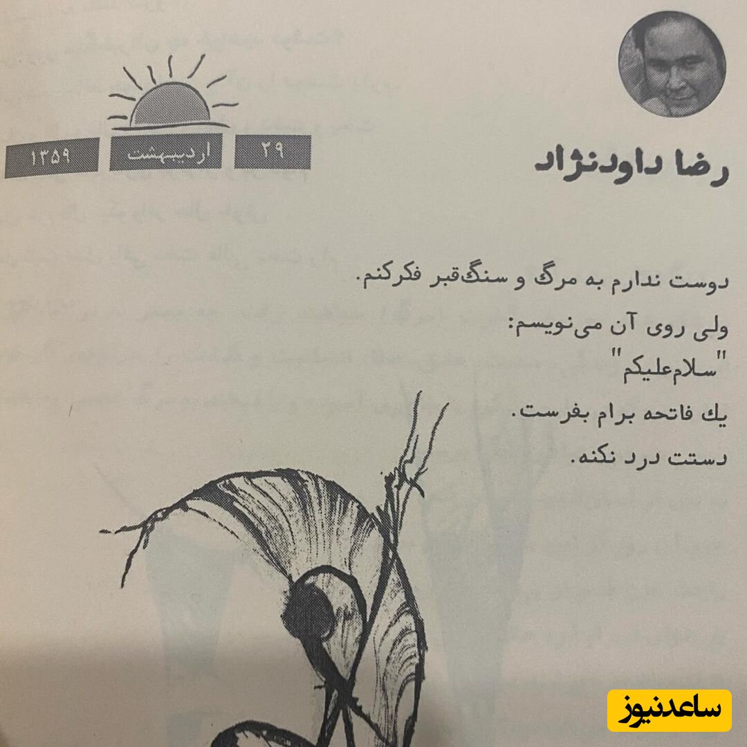 متن