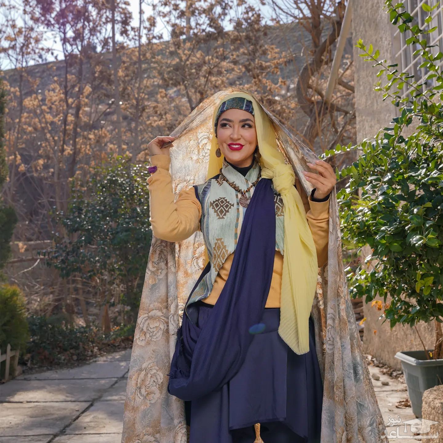 فریبا طالبی