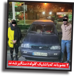 رئیس پلیس خراسان رضوی از دستگیری اعضای باند بزرگ سرقت خبر داد