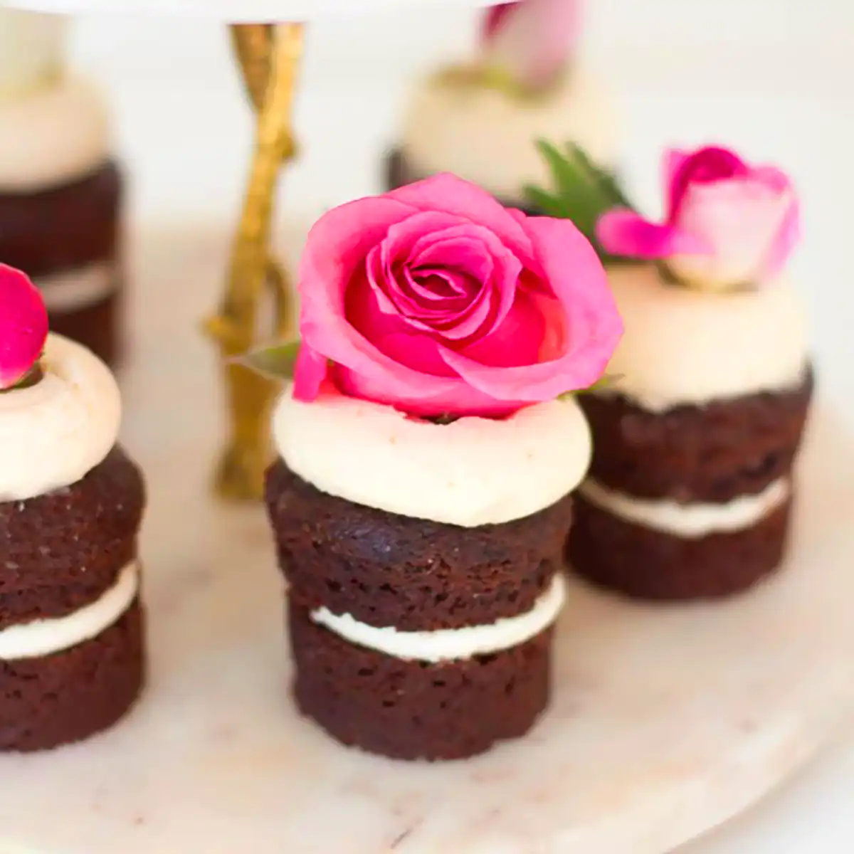 میینی کیک کاکائویی خوش طعم 