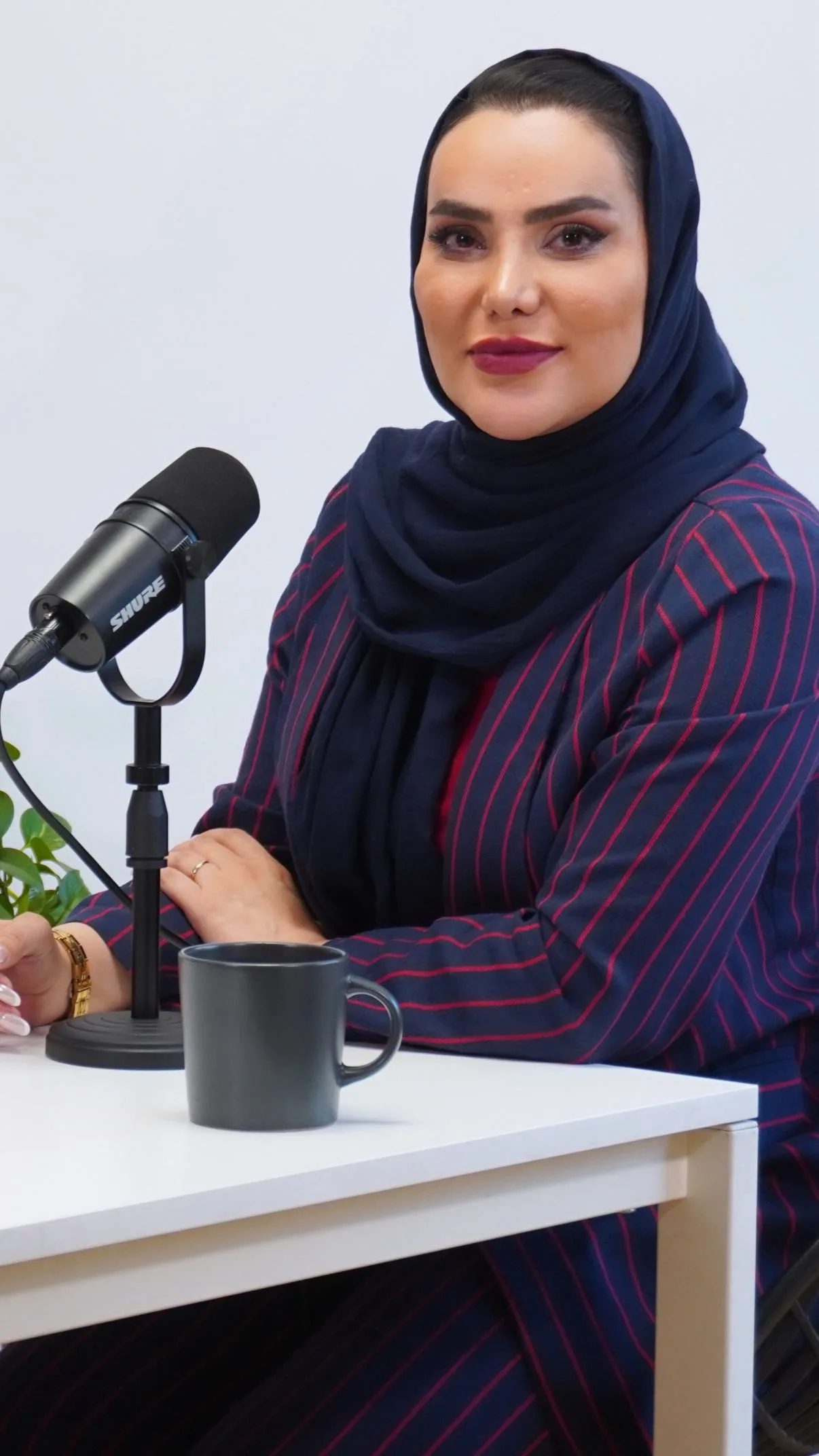 مهسا ایرانیان مجری و صداپیشه