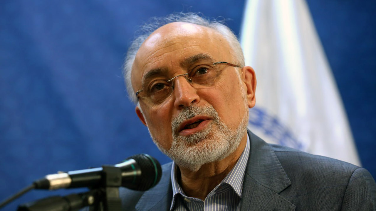 علی اکبر صالحی ، رییس پیشین سازمان انرژی اتمی