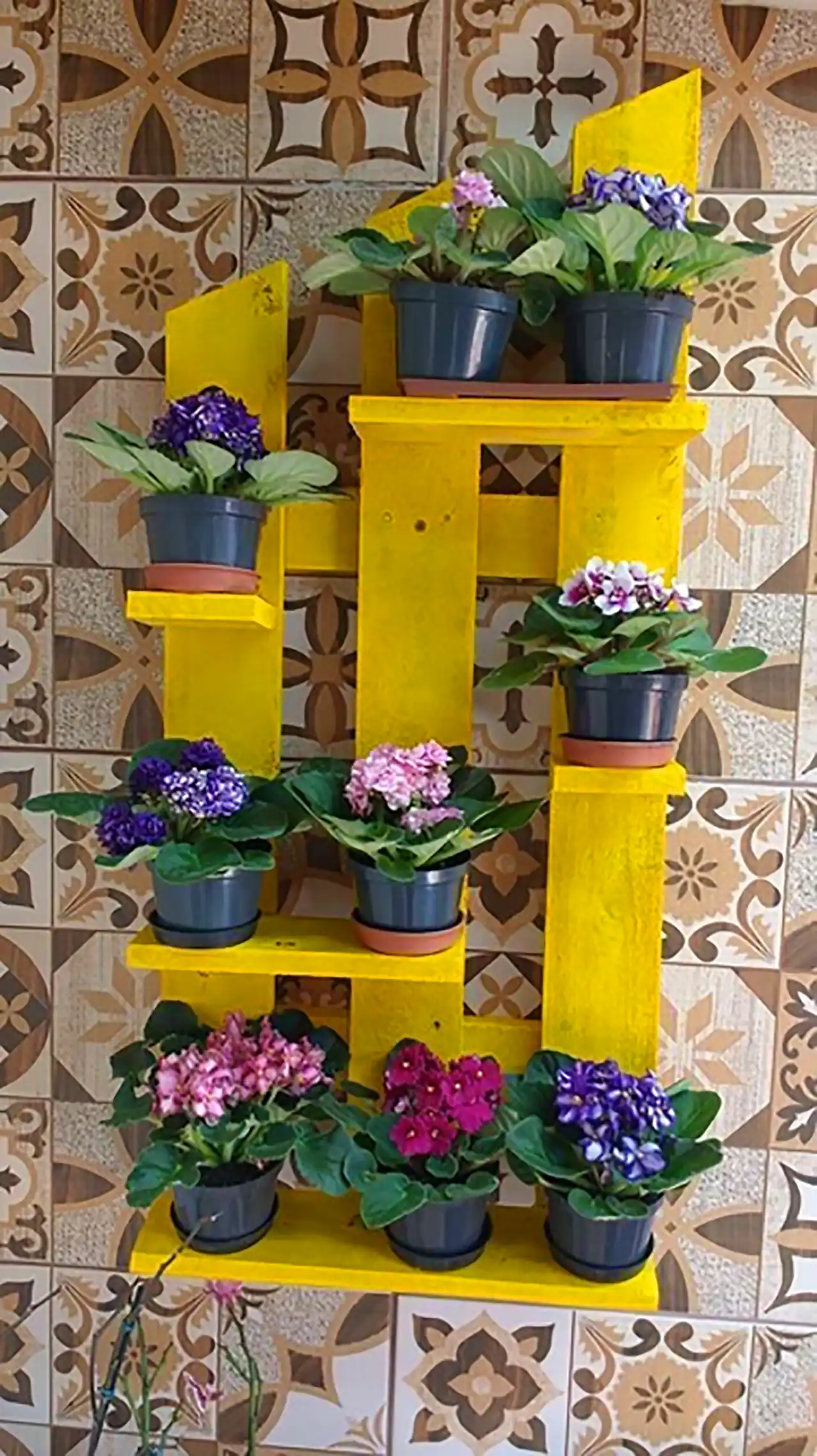 عکس های قفسه چوبی گیاهان آپارتمانی