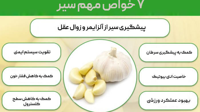 اینفوگرافی فواید سیر