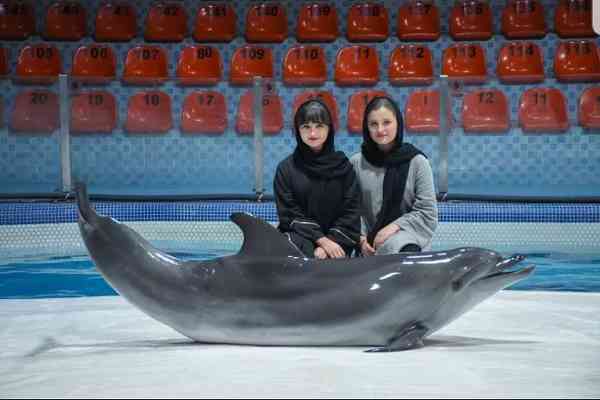 سارا و نیکا سوار دلفین