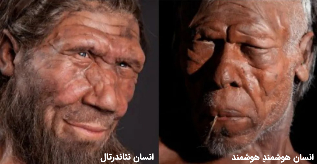 مقایسه انسان های اولیه