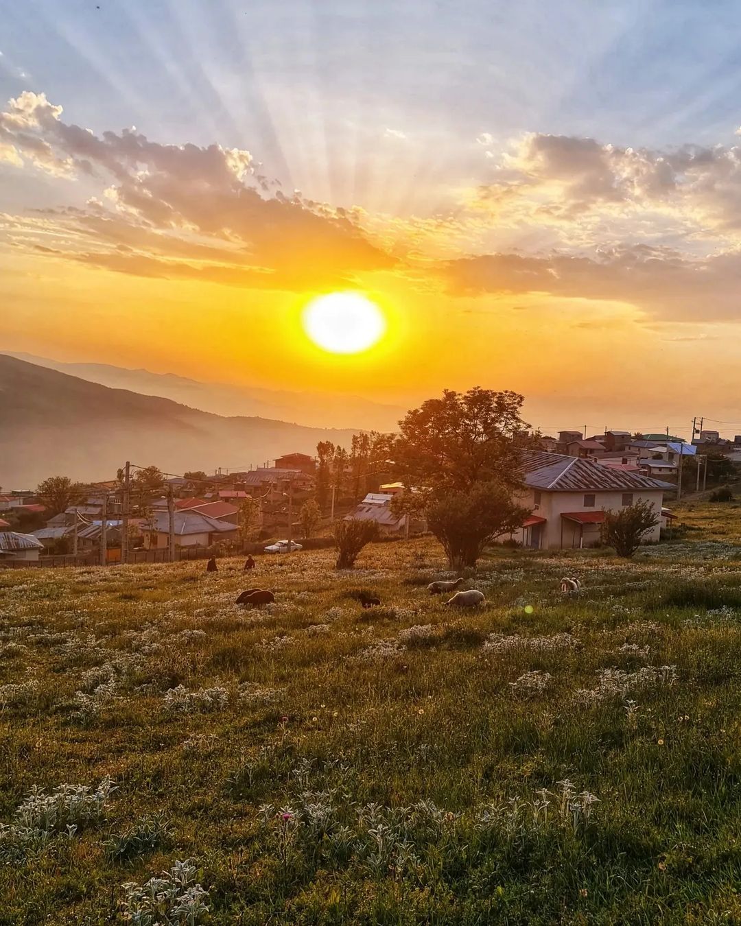 سفر به جواهردشت