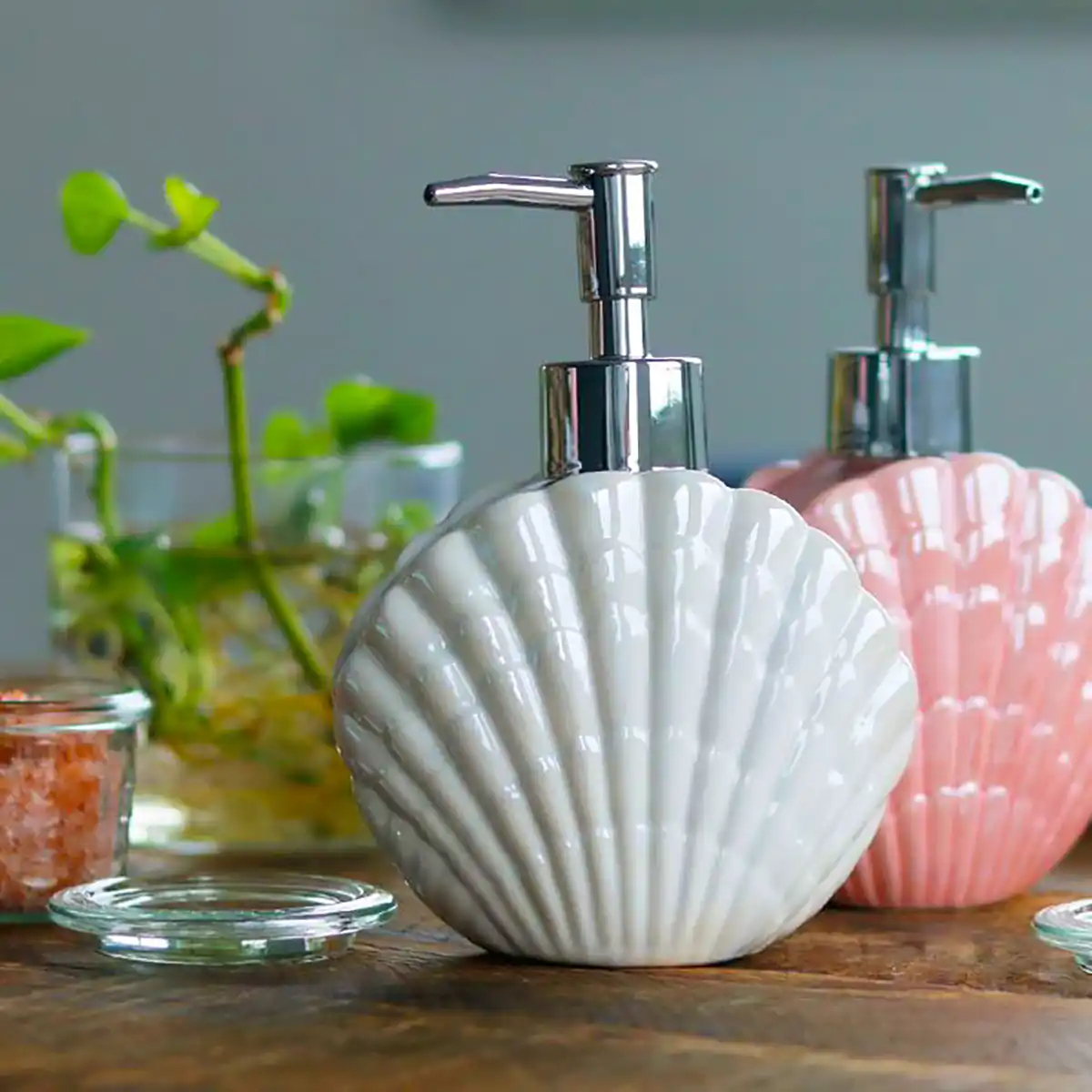 جامایع صدفی