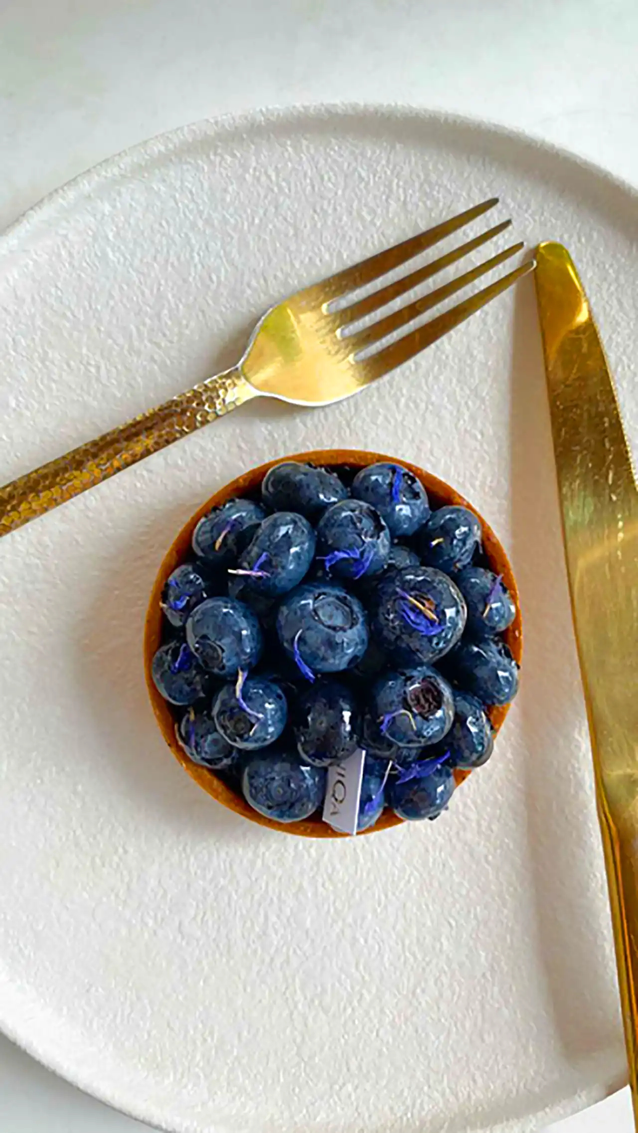 دسر با دیزاین بلوبری