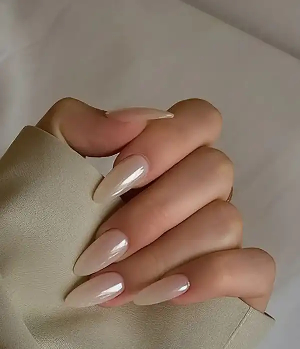 ناخن صدفی پرطرفدار