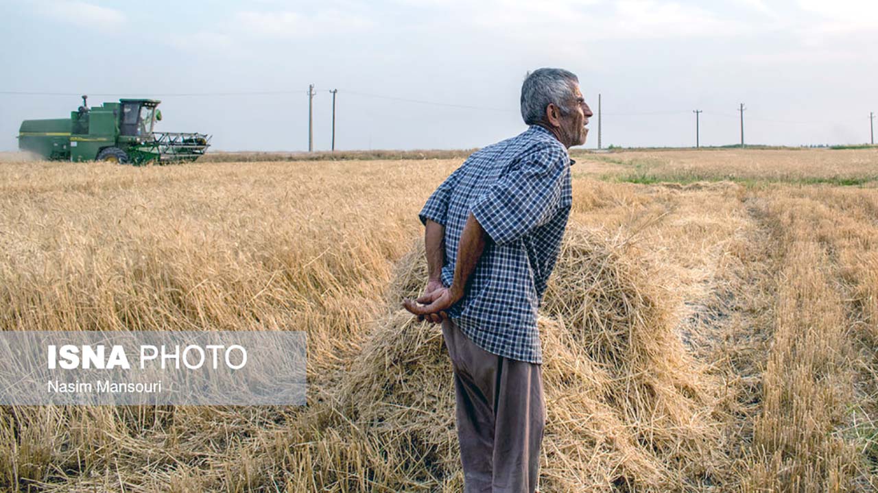 گندمکار - گندمکاران - کشاورز - کشاورزان - زمین زراعی - کشت گندم - برداشت گندم - کمباین