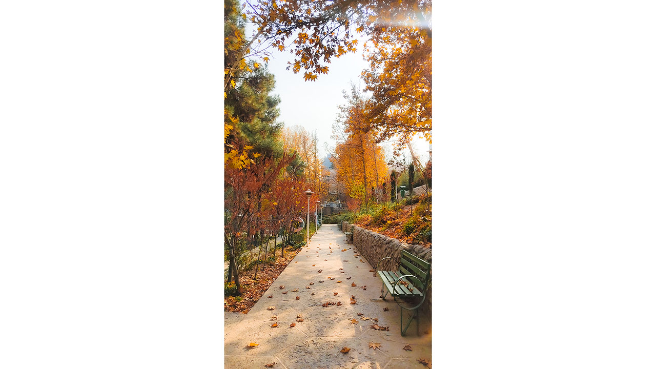 پاییز - پارک