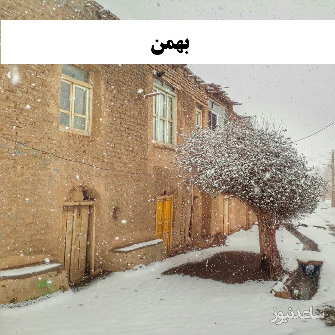 بهمن