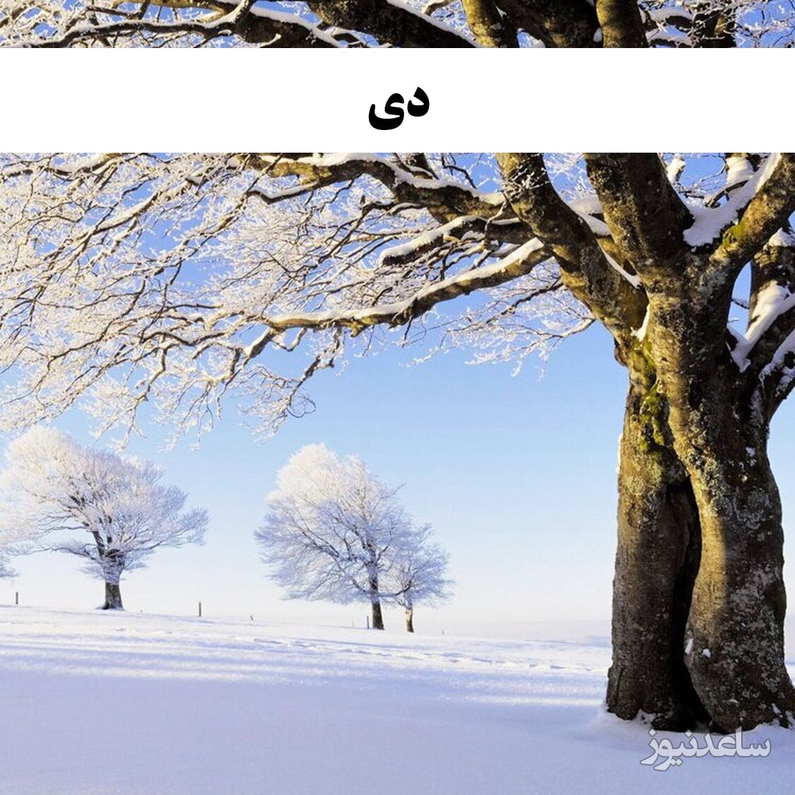 دی