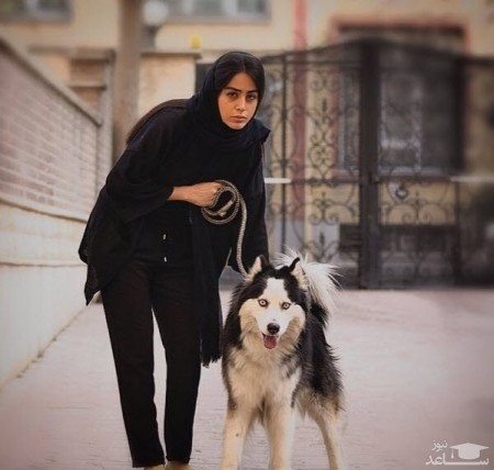 حیوان دوستی نازنین کیوانی