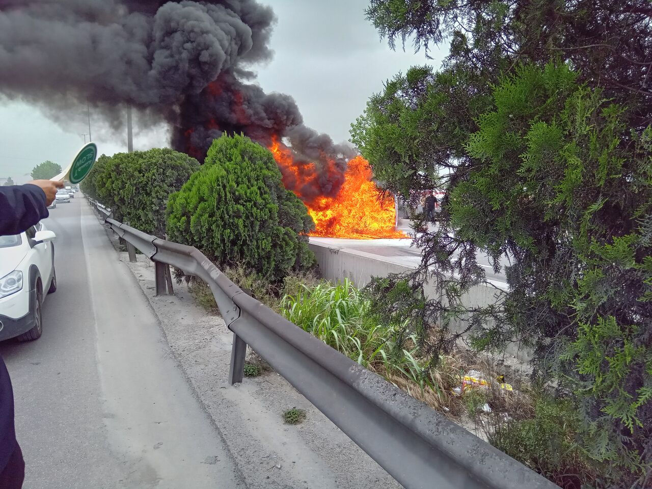 دردسر حضور استاندار مازندران هنگام آتش سوزی یک خودرو برای آتشنشانان / چرا دیر آمدید!؟