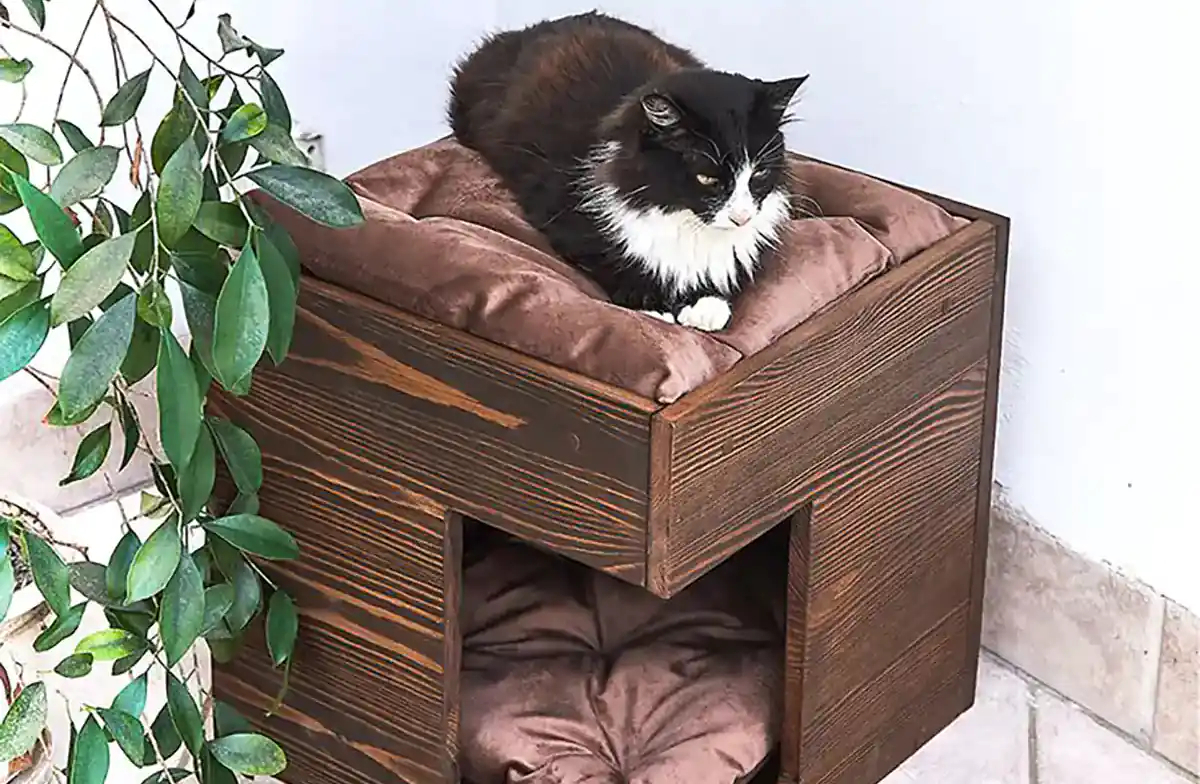 باکس چوبی حیوانات وحشی
قفس خرگوش بباکس چوبی حیواناتزرگ
اسباب بازی خرگوش
باکس چوبی حیوانات اهلی
باکس چوبی حیوانات
