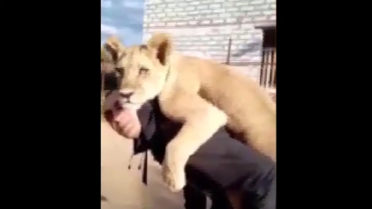 سکس حیوانات باانسان