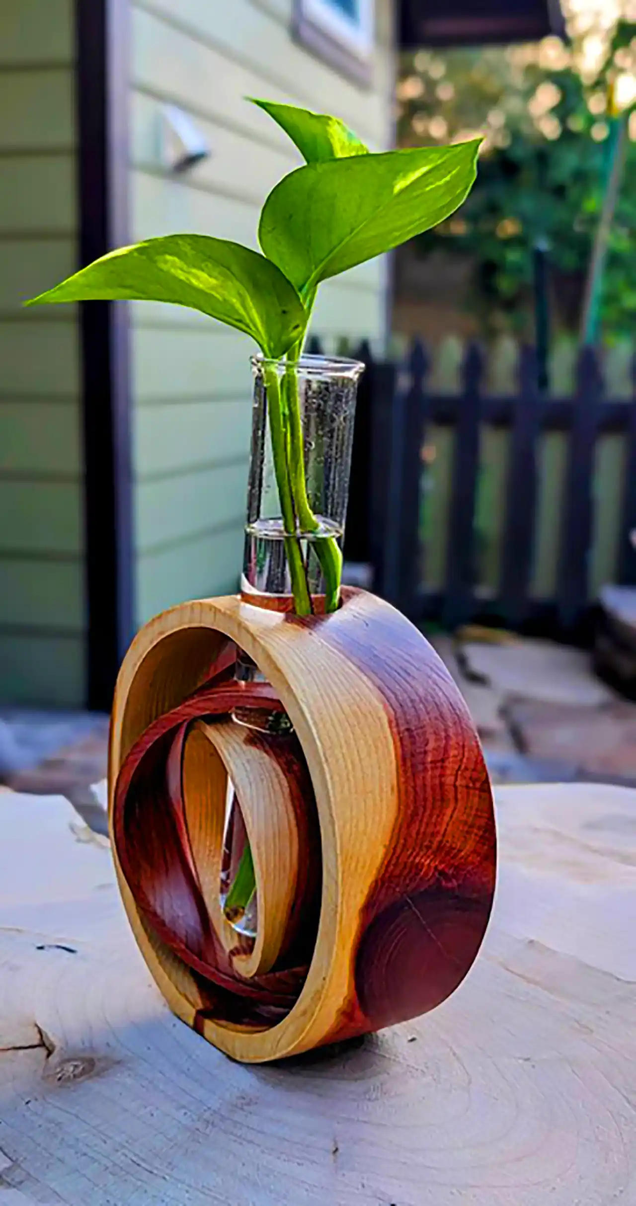 گلدان چوبی دکوری