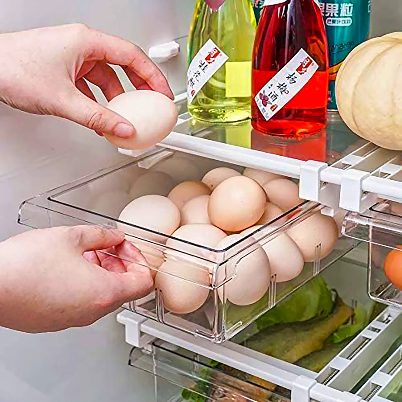 جا تخم مرغی جدید