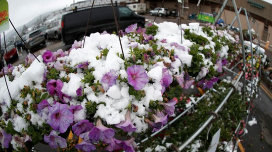 برف بهاری در آمریکا
