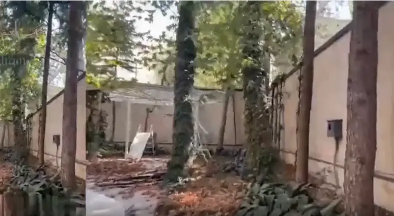 مهران مدیری