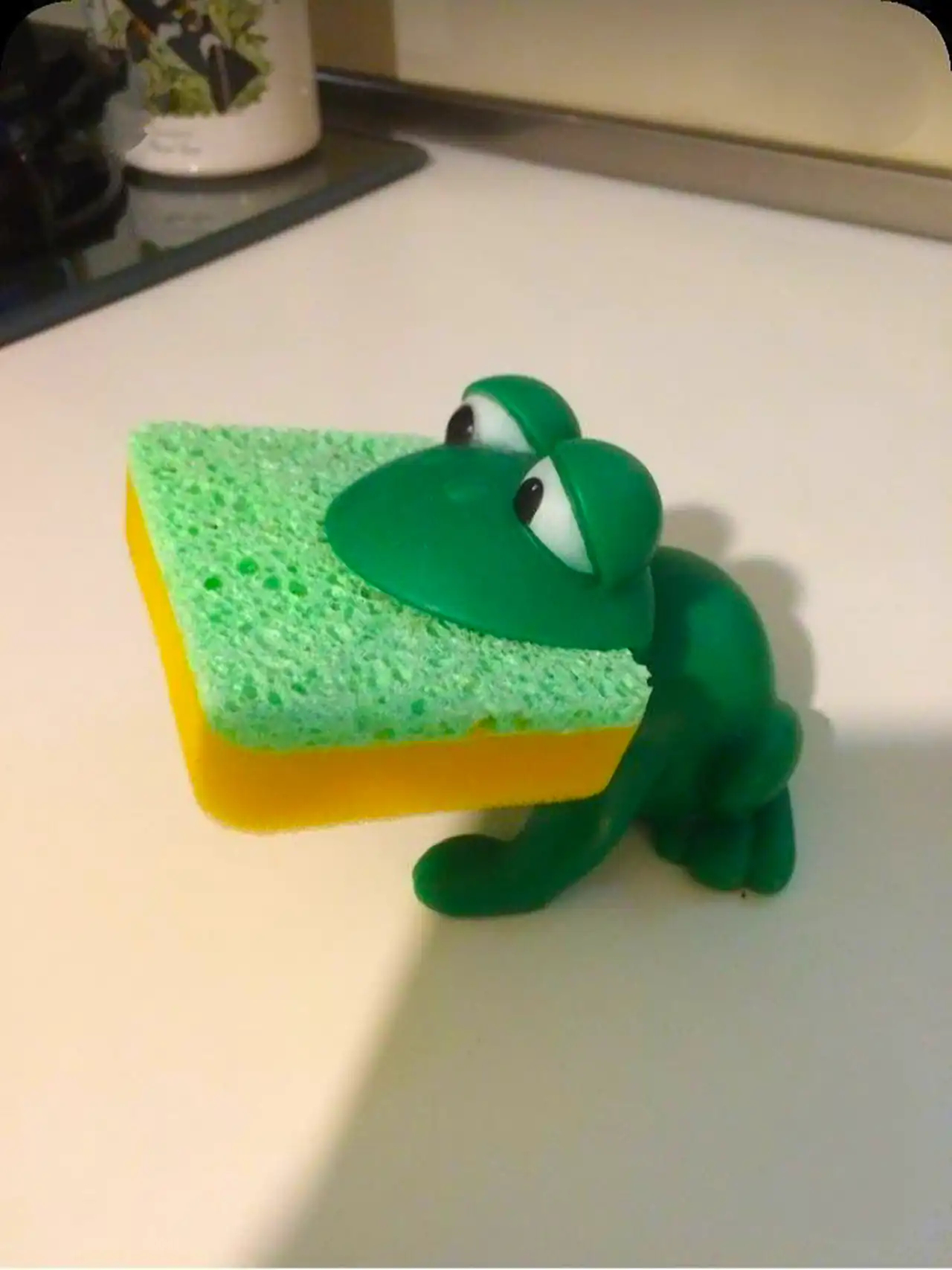 جا اسکاچی فانتزی شیک