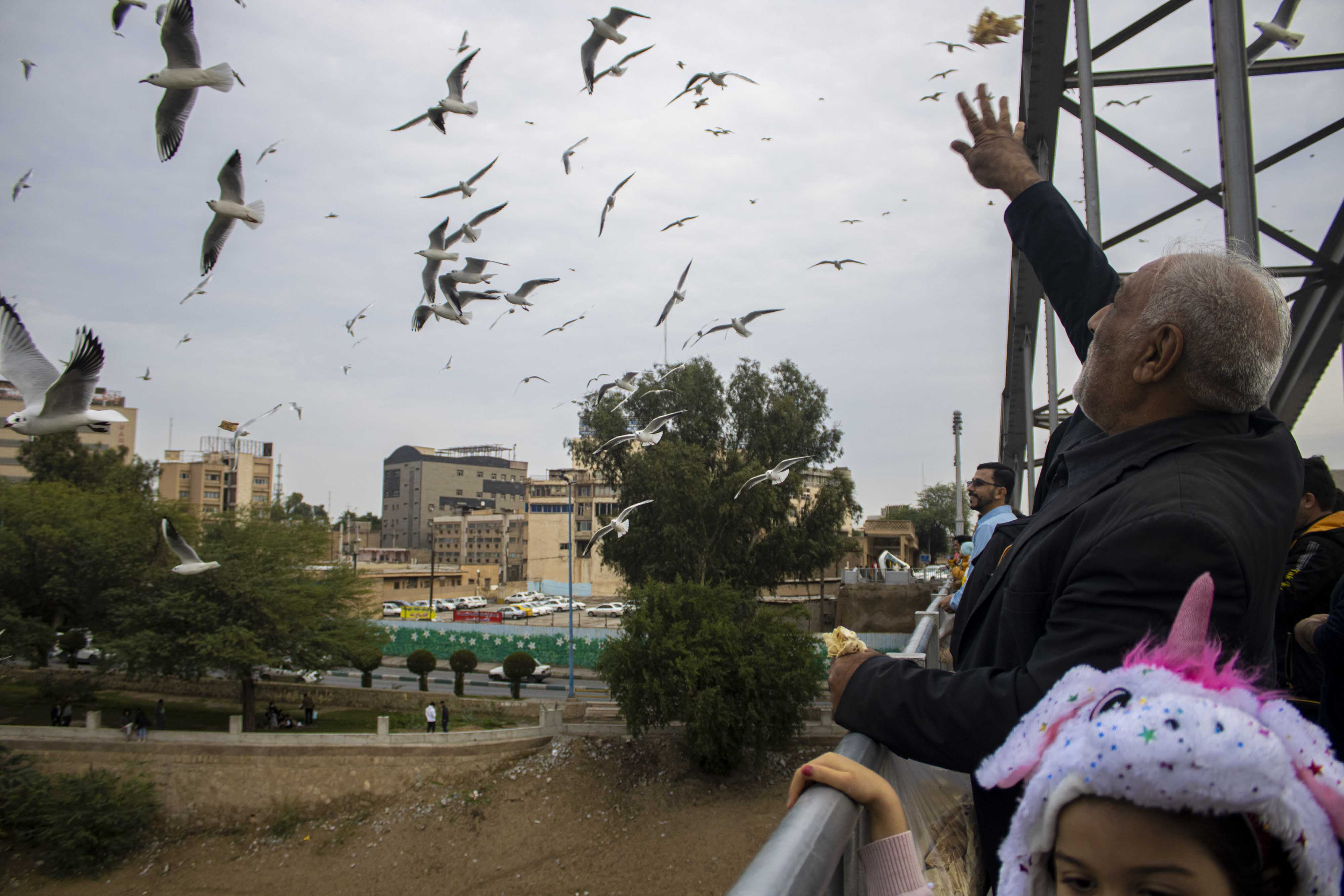 پرندگان مهاجر خوزستان