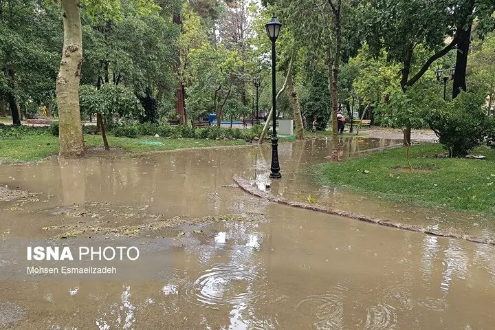 سیل