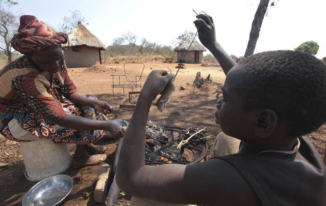 تصاویری شگفت انگیز از شکار موش ها توسط کودکان زیمباوه ای