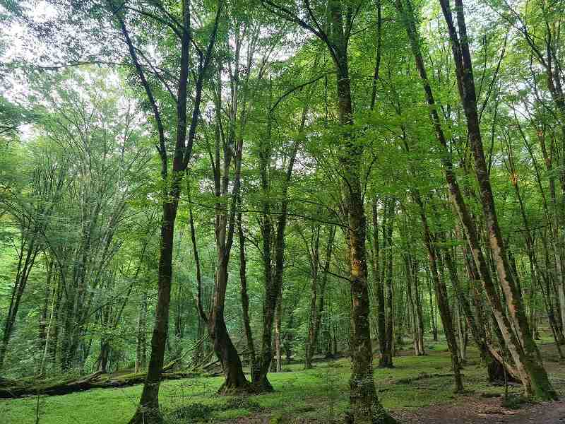 چشمه بلیران؛ سفری گرم در خنکای پاییز